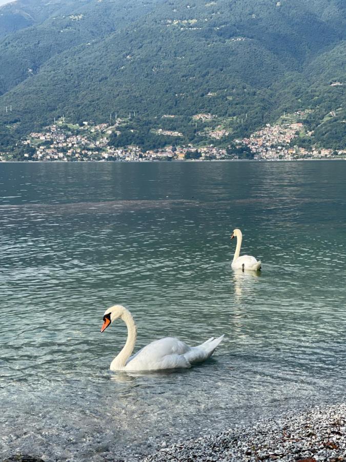 Casa Martina - A Quiet Home By The Lake Colico Bagian luar foto